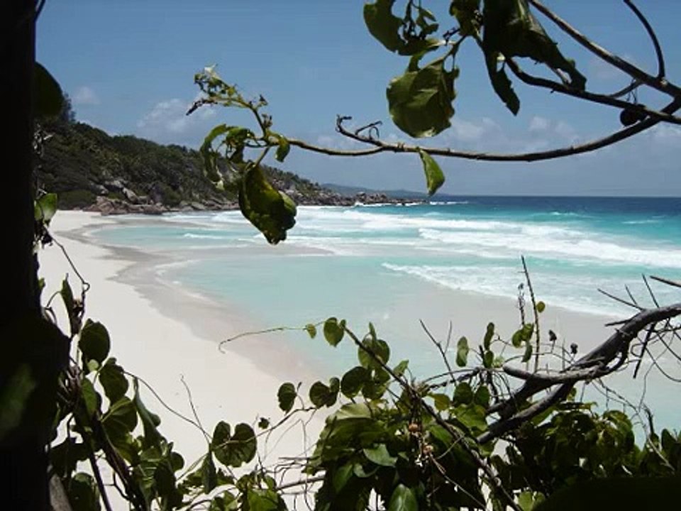 Jack Johnson Upside Down(Lyrics Only) video Dailymotion