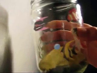 Quick Bug Container for the Kids :)