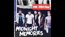 One Direction - Through The Dark (Lyrics   Pictures)