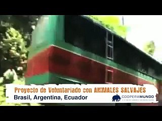 Proyecto de Voluntariado con animales salvajes