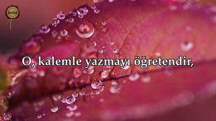 Alak Suresi - Nasser al Qatami