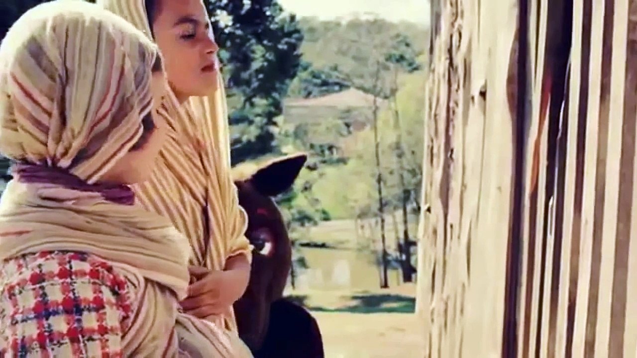 O Primeiro Natal   Contado pelas crianças