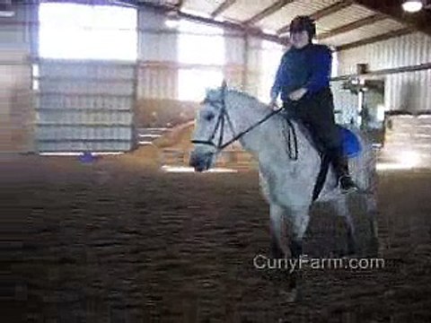 Bashkir Curly In Dressage Lesson Trot and Canter