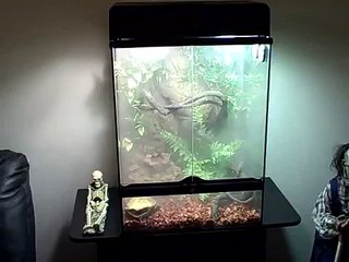 EXO-TERRA RAIN FOREST KIT TERRARIUM WATERFALL & FOGGER