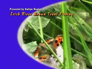 River Brown Trout Fishing In Ireland - Gwilym Hughes