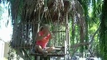 Treehouse with pulley system for human powered elevator