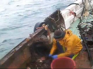 Worlds (Not So) Deadliest Catch