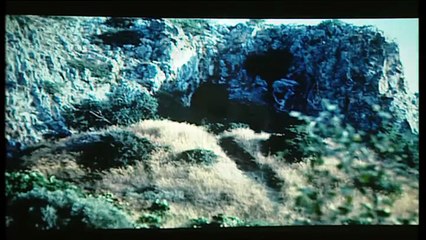 Neandertales I