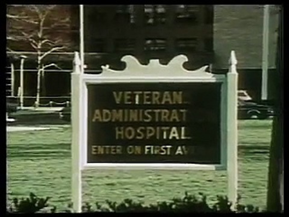 Teenage Nurses (1971 - 74)