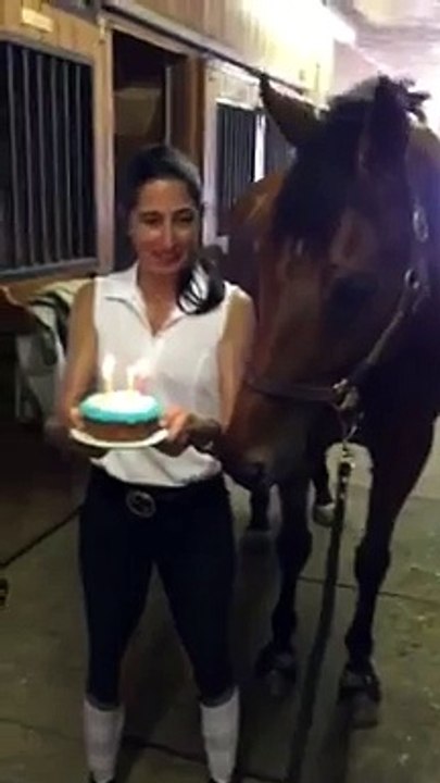 Un cheval souffle ses bougies d'anniversaire