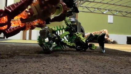 Jaller Discovers Gravity