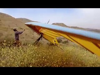 Todas las aves deberían poder volar.