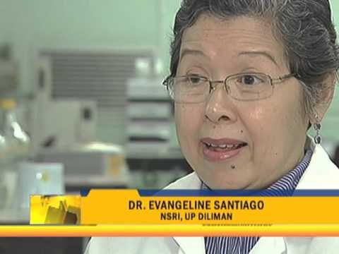 Metro Manila air can cause cancer, study says