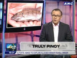 Teditorial: Truly Pinoy