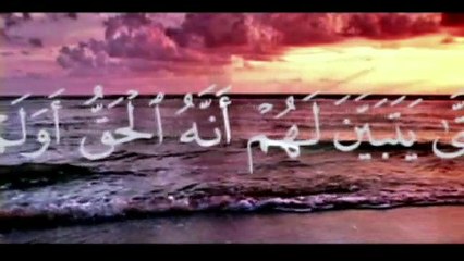 Creations of Allah  معجزة الله في خلق الكون
