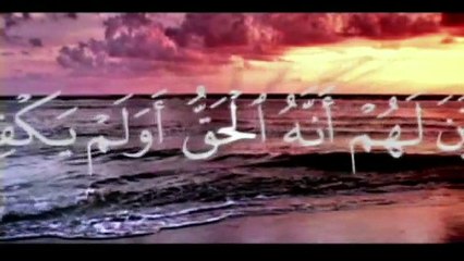 Amazing Islam Miracles  أجمل مقطع للتفكر في مخلوقات الله