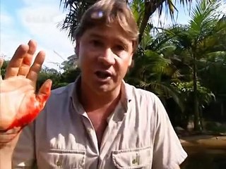 Crocodile Hunter « Szenen mit Biss » | [1/4] |