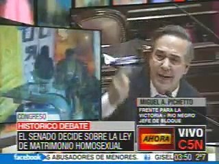 senadores pichetto negre de alonso artaza