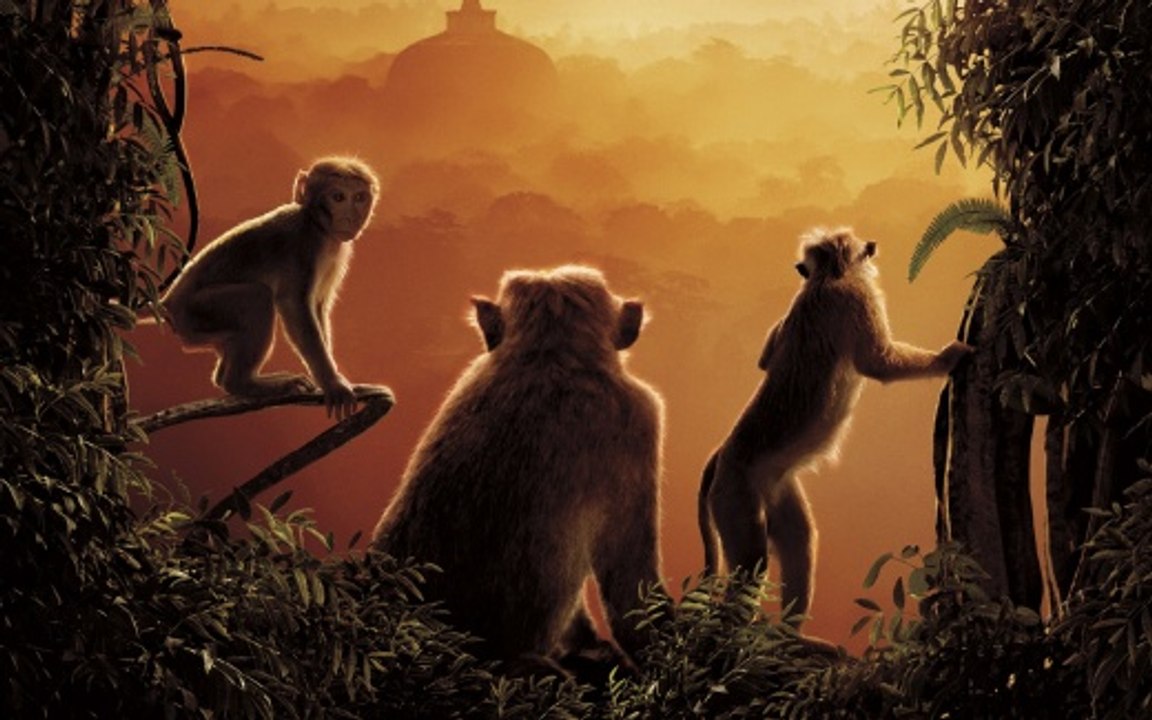 Watch Monkey Kingdom Full Movie Streaming Online (2015)