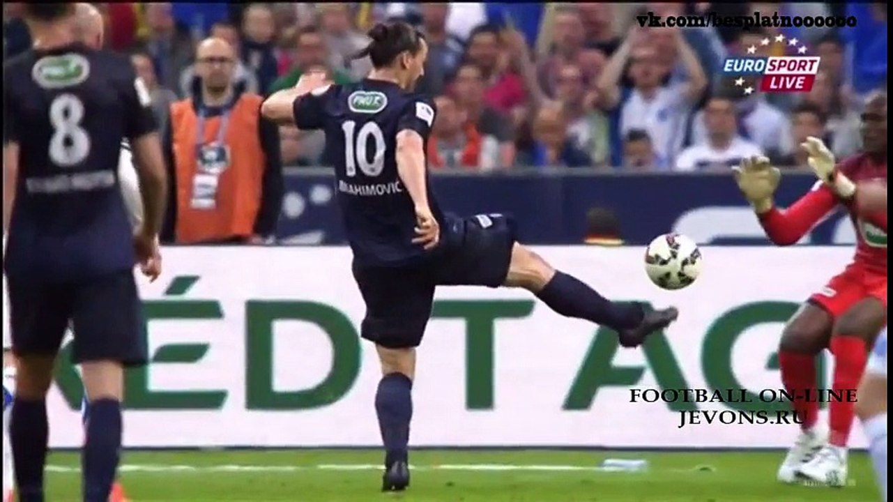 Auxerre 0-1 Paris Saint-Germain EXTENDED  Highlights 30.05.2015