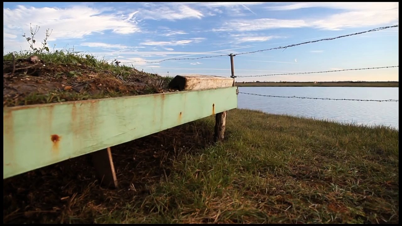 Chasse au canard à la tonne en Vendée
