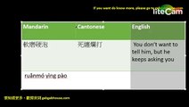 Pinyin – Mandarin   Chinese   Cantonese   translation  廣普對譯 4 bilingual