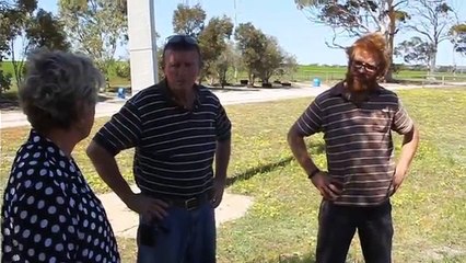 Hope Street Farm. Picking up the Sheep