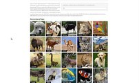 Learning About History Matters! 'How to' Grupedia - Picture Encyclopedia of Domesticated Animals