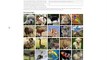 Learning About History Matters! 'How to' Grupedia - Picture Encyclopedia of Domesticated Animals