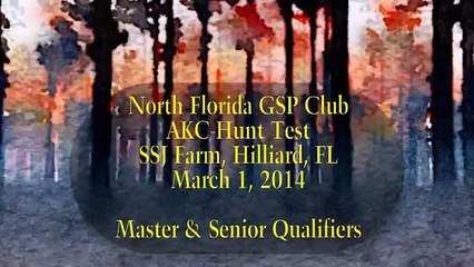 North Florida GSP Club Hunt Test Video