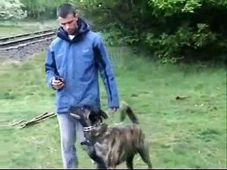 "Ajax" opleiding PH1 - 1Year old