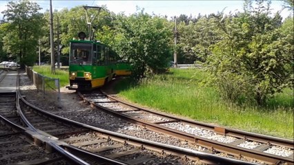 The Soundrops - The Leave