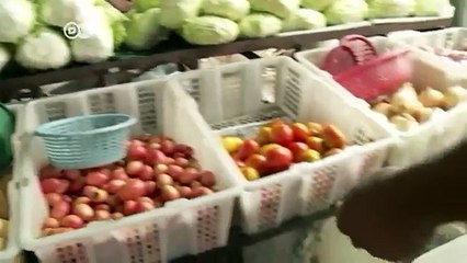 الروهنجيا مضطهدون ولاجئون في دول الجوار  الجورنال