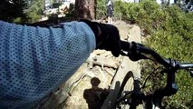 Snow Summit Downhill Mountain Biking/Freeride