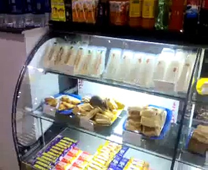 Mouse Eating restaurant food in Trivandrum Airport, Kerala, India