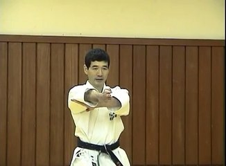 平安三段 heian sandan 形 松涛館