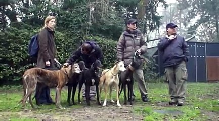 Backstage Steve McQueen, Biennale di Venezia