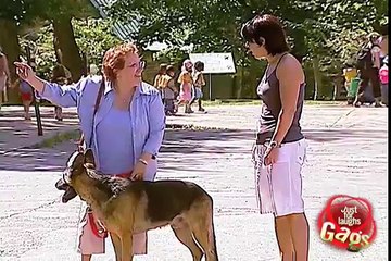 Dog Bites Jogger's Butt