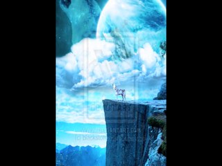 Wolves At The Frontline (100 subscribers!!!!!)