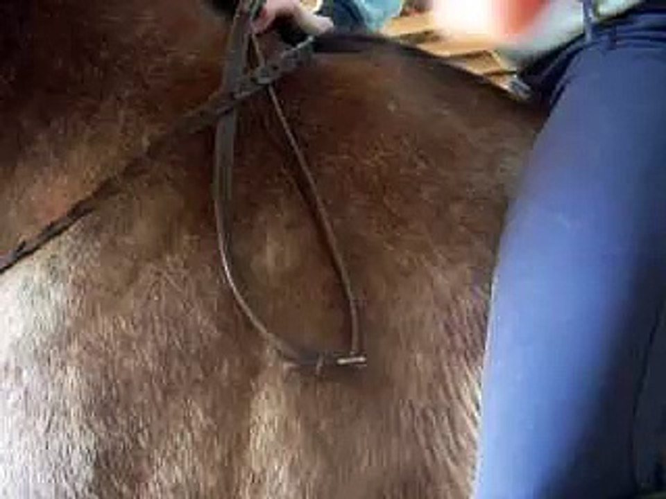 Riding Foxy BAREBACK 4/5/09