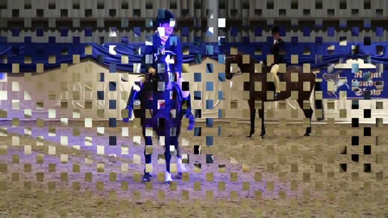 Royal London 2010 Winners  - Saturday evening 4th September