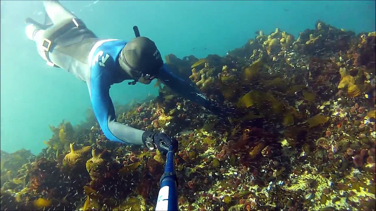 Freediving Insane Caves  (The Pinnacle - Freedive Atlantic)