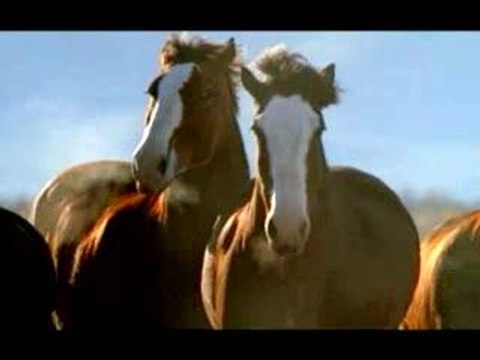 SuperBowl XL- Budweiser: Superfan