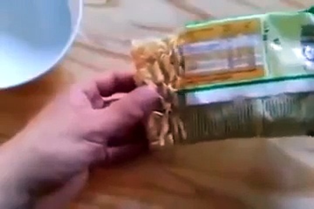 Любителям Ролтон посвящяется