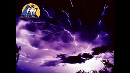 Как приучить собаку к кличке и команде рядом