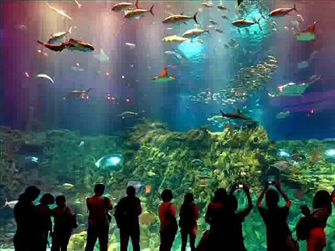 Great Travel Deals! Travel Agency in the Philippines!