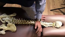 Chiropractic Spinal Evaluation and Adjustments Explained and Demonstrated