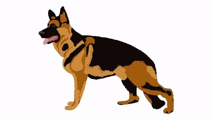 Образование артрита(peresada86@yandex.ua,peresada86@gmail.com)