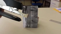 Hilarious alien parody with stapler