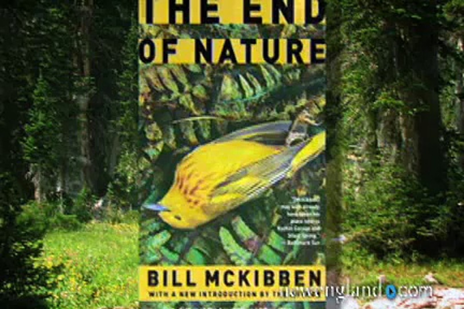 Bill McKibben, Big Environmental Activist